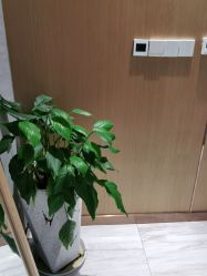 -苑苑vbeauty科技美容SPA