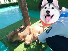 -七彩云南欢乐世界