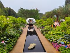 -深圳仙湖植物园
