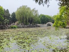 -莲池书院博物馆