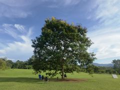 -中国科学院西双版纳热带植物园