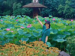 -合肥三国新城遗址公园