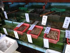 -新湛拱(兰埔路店)