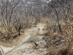-北京凤凰岭