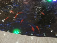 -碧中海汤泉汗蒸酒店