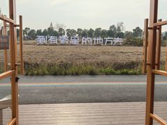 -崔岗艺术村