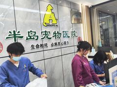 -半岛宠物医院24小时(西派城店)