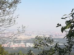 -紫金山索道-售票处