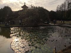 -四海公园(南山区)