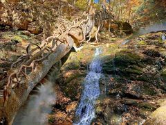 -五女峰国家森林公园