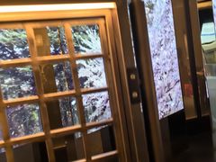 -桂满陇·海市蜃楼·黑金(国金店)