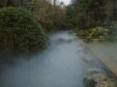 -都江堰中华大熊猫苑
