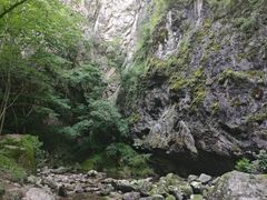 -牛背梁国家森林公园
