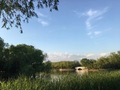 -大兴滨河森林公园