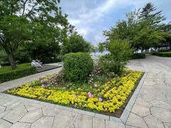 -长春市南湖公园