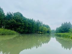 -桃园山庄(海澜飞马水城店)