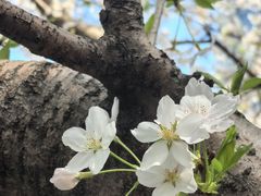 -星湖街(地铁站)