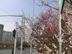 -黛秀湖公园