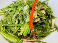 清炒水性杨花-老滇山寨•云南特色菜•地方菜•民族风情歌舞表演(金碧店)