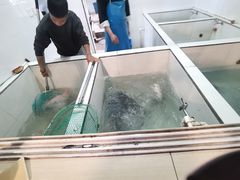 -贡椒鱼老店·雅安十大名店
