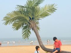 -日照海滨国家森林公园