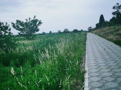 -茂陵博物馆