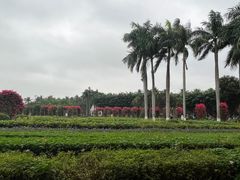 -万绿园