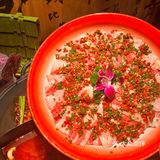 🐼听说花花来深圳了⁉️