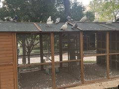 -青岛鑫江温德姆酒店