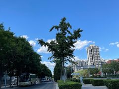 -东方饺子王(新奥购物中心店)