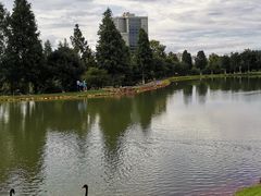 -二沙岛艺术公园
