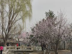 -春风习习