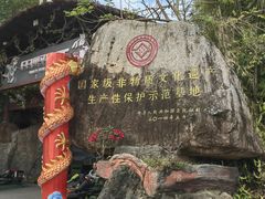 -海南槟榔谷黎苗文化旅游区