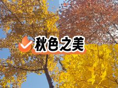 -北京鹫峰国家森林公园