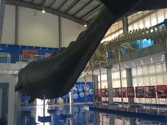 -上海海洋大学鱼文化博物馆(军工路校区)