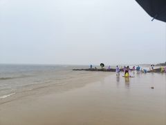 -日照海滨国家森林公园