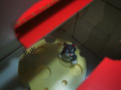 -多乐之日(华贸天地店)