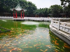 -广东圆玄道观