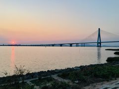 -芒洲湿地公园