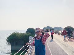 -贡湖湾湿地公园