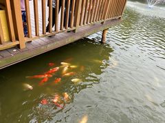 -深圳野生动物园