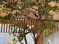 -川成元·麻辣香锅(凯德MALL西直门店)