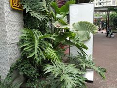 -峨眉电影制片厂宿舍