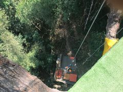 -清迈丛林飞跃 JungleFlight