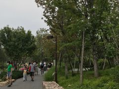 -回龙观体育文化公园