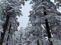-瓦屋山景区