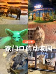 -酷嗒动物文化乐园(cutezoo西溪乐天城店)