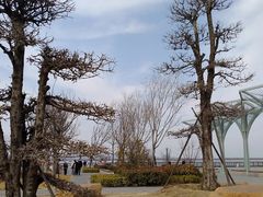 -南湖国家城市湿地公园