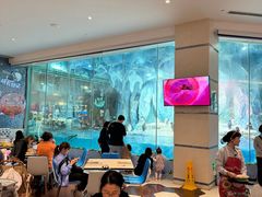 -帝企鹅自助餐厅•儿童岛•真企鹅(长隆企鹅酒店)