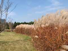 -同济大学(嘉定校区)